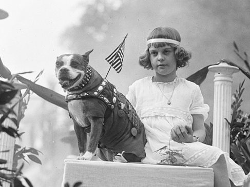 Sergent Stubby: le chien le plus décoré de la Première Guerre mondiale